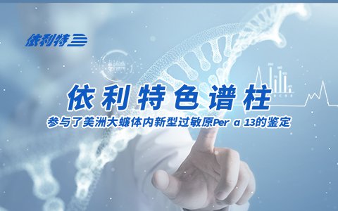 依利特色譜柱參與了美洲大蠊體內新型過敏原Per a 13的鑒定